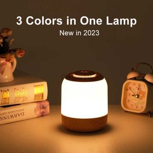 Night Lights LED Lamp Touch Sensor Night Light Colors Adjustable USB RechargeablePortable Bedside Desk Lamp For Kid Baby Lights YQ240207