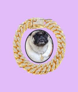 Coleiras de cachorro xury designer colar pulseira bling diamante colar cubana corrente de ouro para pitbull grandes cães jóias metal material8272817