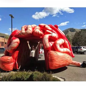 vendita all'ingrosso Tenda gonfiabile gigante realistica del tunnel cerebrale del modello del cervello di 4m 13ft colorata promozionale per esposizione medica