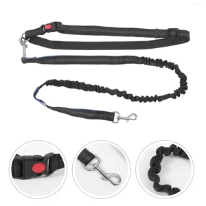 Coleiras de cachorro trela cinto de caminhada para cães médios bungee running pet extensão mão livre corda