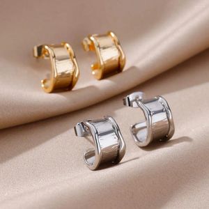 Studörhängen rostfritt stål för kvinnor smycken mode trend tillbehör dekoration piercing hoop estetik geometri bred öron naglar