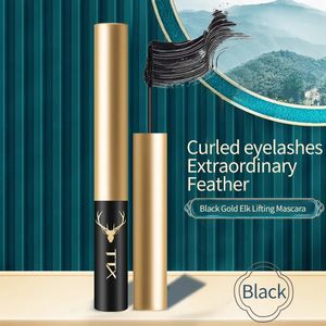 Zestaw Beauty Foundation naprawa Lipstick Whuthter Air Poduszka BB CHREAK STACZNY Makeup Produkty Makeup Produkty Cosmetics240129