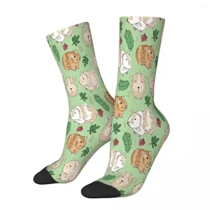 Мужские носки с цветами и листьями, морская свинка, мужские, женские, зимние чулки, Harajuku