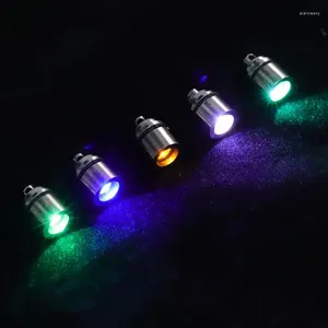 Torce elettriche Torce 9 pezzi Portachiavi Luce Torcia a LED Mini Piccolo Ciondolo in plastica Micro Borsa