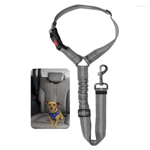 Dog Collars Pet Safety Protector Car Seat Belt Leash With Buffer Elastic Reflective Rope