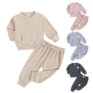 Conjuntos de roupas primavera e outono criança esportiva terno do bebê casual sólido algodão manga comprida camiseta topo calças esportivas masculino menina conjunto