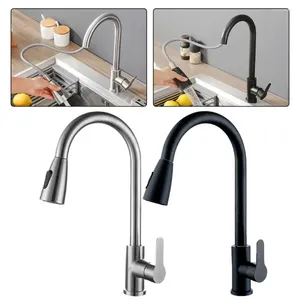 Kitchen Faucets Pull-Out Water Tap Faucet 2 Spray Modes 360 Degree Rotation Stainless Steel And Cold Mixer Accessories