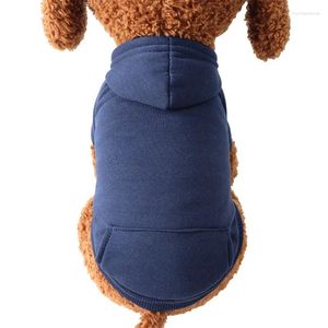 Hundebekleidung Haustier Zweibeiner Kleidung Herbst und Winter Pullover Taschenpullover Katzenbedarf