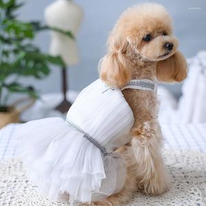 Abbigliamento per cani Abiti unici originali fatti a mano Abito da sposa per animali domestici Stile della dea greca antica Regalo di compleanno per feste da principessa