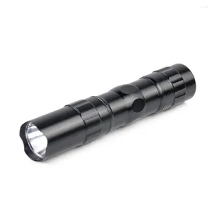 Ficklampor facklor Pocket penna ljus mini bärbar led 1 läge liten fackla för tandläkare eller ut camping vandring