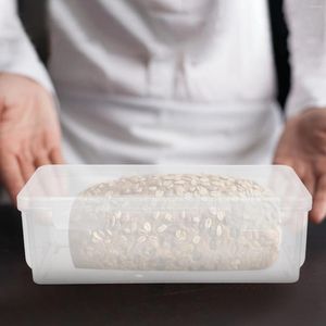 Contenitori per cucina 2 pezzi Contenitore per pane Contenitore per pane Organizzatore per contenitori per dispensa Contenitori per condimenti Pp di