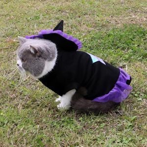 Cat Costumes Costume Cosplay Witch Wizard Hat 2 PCS Petkläder för små katter Kattunge och hundar Roliga semesterdekorationer Halloween