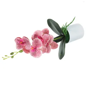 Decorative Flowers Mini Artificial Succulent Plants Garden Desktop Ornaments 5pcs Fake Orchid Bonsai