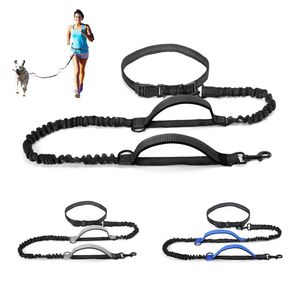 Hög Qulity Infällbara händer GRATIS DUG LEASH FÖR LÖSNINGSVÄRDE BUNGEE LEASH REFLEKTIVT FÖR STORA DUGAR PET -leveranser 240125