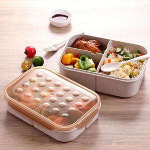 Dinnerware Stain Resistant Bento Box 3 Compartments Microwave Heating Good Sealing Lunch With Forks