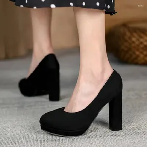 ドレスシューズSianie Tianie 2024 Flock Classic Platform Block High Heels Woman Officeキャリアセクシーな女性ポンププラスサイズ44 45スティレット