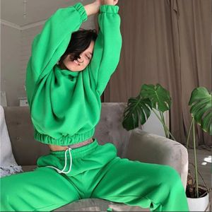 Hoodies Suit Winter Spring Solid Casual Tracksuit Women Velvet 2 Pieces Set Sports Sweatshirts Pullover Home Sweatpants Outfits 240123
