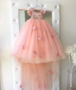 Vestidos da menina praia casamento flor vestido blush rosa ballet babados beleza pageant bebê crianças festa de aniversário primeira comunhão vestido