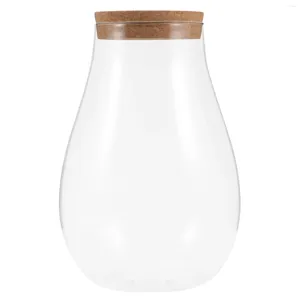 Vasi Air Terrarium Covere in legno: display Bottle in vetro Terrari di fioriere Terrari Piante rotonde Globe Fai da te