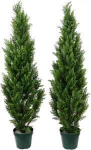 Dekorativa blommor Förpotade 4 'Artificial Cedar Topiary Outdoor Indoor Tree (Pack of 2)