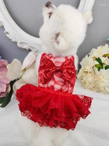 Dog Apparel Handmade Clothes Pet Princess Dress Red Gauze See Through Sexy Openwork Lace Skirt Dazzling Sequin Bow Accessories One Piece