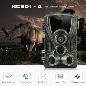 Suntekcam Охотничья камера 20MP 1080P IP65 Камеры ночного видения Водонепроницаемые камеры наблюдения за дикой природой Po Trap HC801A 240126