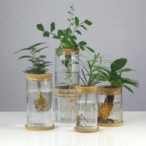 Mini vaso de flores hidropônico vaso de vidro planta transparente terrário mesa plantas potes vintage casa sala estar decoração 240131