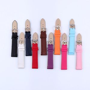 Watch Bands 10PCS Watchband In 1 Bag 10 Colors Purple Red Black White Pink Brown Coffee Royal Blue Rose
