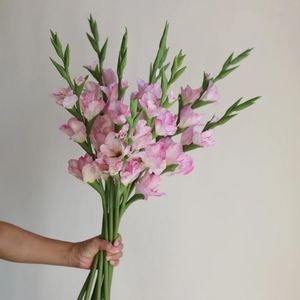 Decorative Flowers 34.3" Real Touch Artificial Gladiolus Stems-Pink Fake Spring Summer DIY Florals/Wedding/Home/Kitchen Decorations