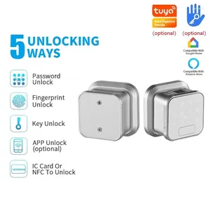 Smart Lock Tuya WIFI porta elettronica blocco impronte digitali password scheda IC chiave APP sblocco carica di emergenza USB