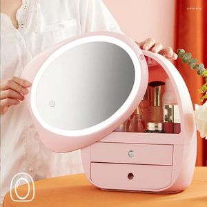 Förvaringslådor Box Dust-Proof Beauty Mirror Up Big Organizer med LED Lipstick Holder Make Cosmetic Brush Makeup Drawer