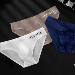 Underpants Triangle Big Pouch Men Underwear Briefs Ice Silk Male Seamless Low-Waist Thin Panties Plus Size YQ240214