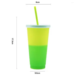 Tumblers Great Water Bottle With Lid Straw Large Capacity Discoloration Cup Long Lasting No Odor Color Changing For Kitchen