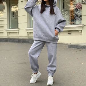 Women Autumn Tracksuit Solid Color Loose Elastic Waist Thick Hooded Warm Pocket Cuff Deep Crotch Winter Hoodie Pants Set 240131
