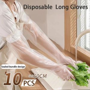 使い捨て手袋10pcs防水透明な多機能農場グローブ耐久性のあるプラスチック製の手袖