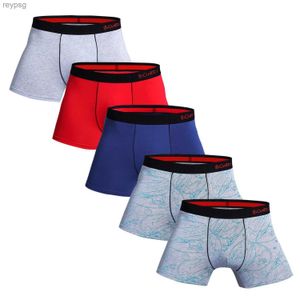 Underpants 5 pçs / pacote 2023 homens calcinha de algodão roupa interior masculina marca boxer e para homme conjunto de luxo sexy shorts caixa deslizamento kit ginásio yq240214