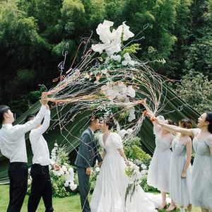 Decorazione per feste 10 pezzi Streamer da lancio a mano Compleanno Matrimonio Scuola Apertura Laurea Celebrazione Coriandoli Nastro di carta Cracker