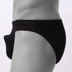 Mutande Da Uomo Slip Intimo Sexy Mesh 3D Grande Pene Pouch Mutandine Maschili U Convesso Tronchi Pantaloncini Uomo Gay Sospensorio