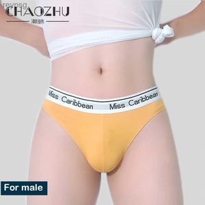 Briefs trosor chaozhu bomull g sträng för män sex hbt gayboy stolthet älskar thong cutie fit gay heta tätt stora underkläder pojke yq240215