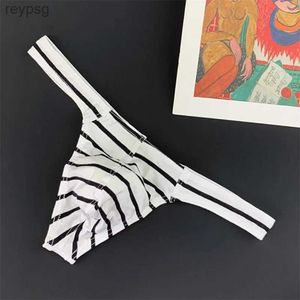 Briefs Panties Sexy Men Underwear Cotton Thong Male T-back Lingerie G Strings Soft Gays Accessories YQ240215