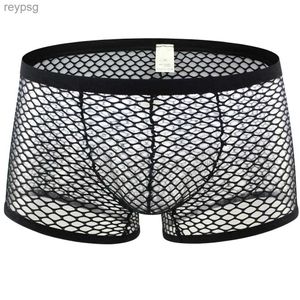 Trosor trosor sexiga mesh boxer män underkläder se genom transparent låg midja nattkläder shorts boxershorts erotiska underbyxor yq240215