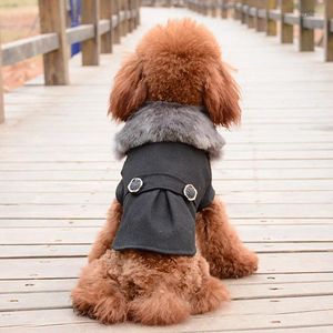 Vestuário para cães Roupas para animais de estimação Europeu Lã com gola de pele Filhote de cachorro Yorkshire Cães Casaco com capuz Casaco pequeno traje