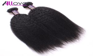 ペルーの人間の髪の束マレーシアの髪はゆるい波ヤキストレート2バンドルインドブラジルのバージンヘアエクステンション5023619