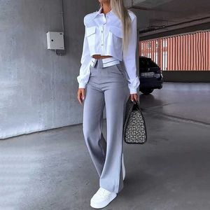 Women's Two Piece Pants 2024 Autumn Spring Womens Two Piece Office Simple Solid Polo Collar Long sleeved White Top Gray Pants Set Elegant Coat Y2K J240217