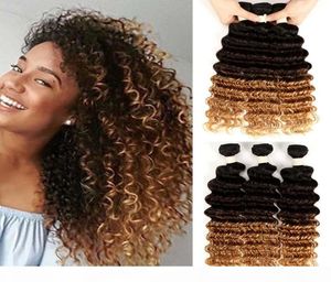 Fasci di capelli umani ricci profondi Ombre a 3 toni 3 pacchi Ombre Brasiliani a onda profonda Tessuto ricci profondi Capelli8327253