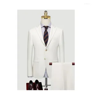 Herrenanzüge nach Maß Bräutigam Hochzeitskleid Blazer Hosen Business High-End klassische Hose SA08-67599