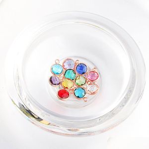 Charms New Fashion Piccoli pendenti in vetro con strass Fascino per collana braccialetto 12 Colorf Birthstone Creazione di gioielli fai da te Drop De Dhgarden Dhjfe