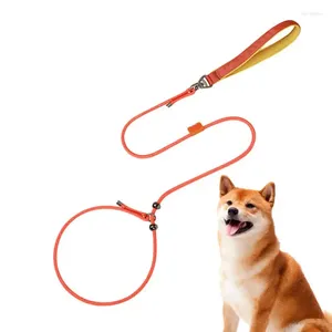 Köpek yakaları 47cm Yürüyüş için kurşun Pet Güçlü Dogleash Çift Sınır Tasarım Açık Mekan Halatları Büyük Küçük Orta Büyük