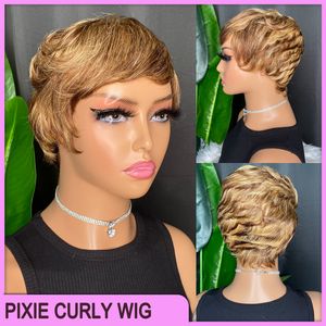 Vonder Price toppkvalitet brasiliansk peruansk indisk 100% vrigin rå Remy Human Hair P4/27 Pixie Curly Short No Lace Bang Wig Wig
