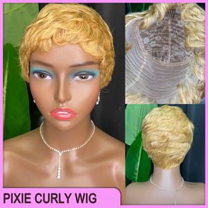 Wholesale Price Top Quality Brazilian Peruvian Indian 100% Vrigin Raw Remy Human Hair Brown Pixie Curly Short no Lace Wig